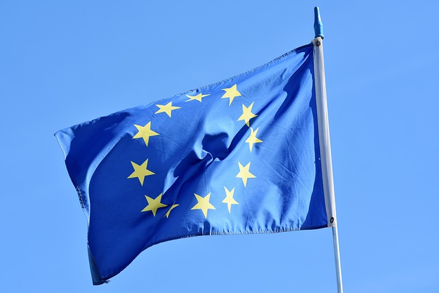 EU Flagge